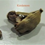 Kardamomkapsel-III-150x150 in Neue Rubrik: Pflanze der Woche